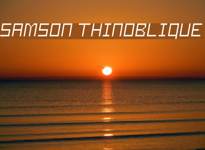 Samson ThinOblique Example 3