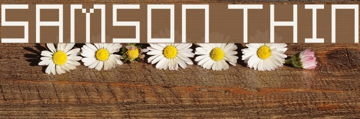 Samson Thin Example 2