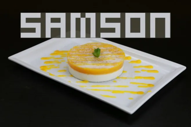 Samson Example 2