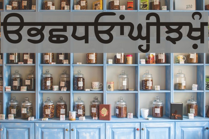 SamtolAmrit Bold Font examples
