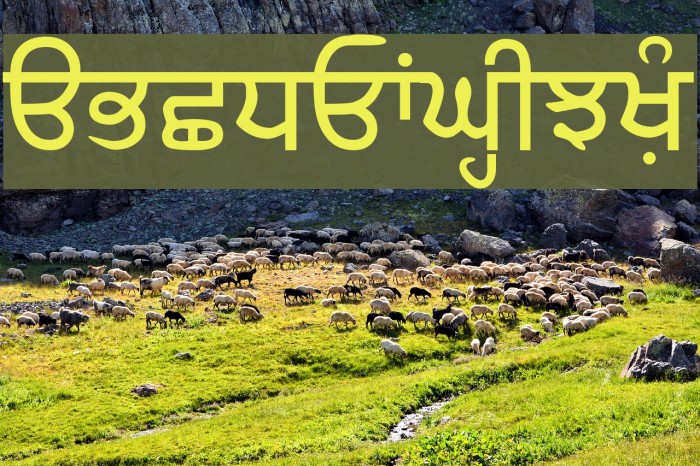 SamtolAmrit Font examples