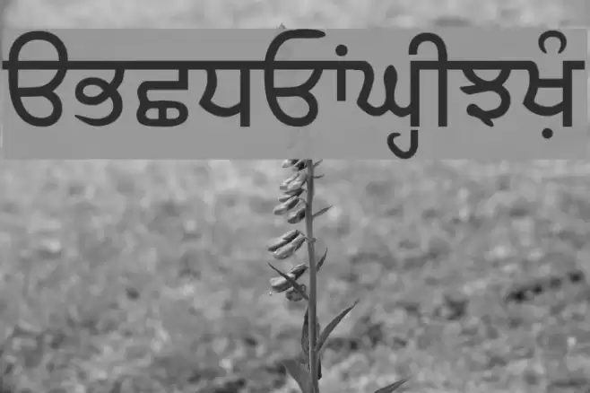 SamtolAmrit Font examples