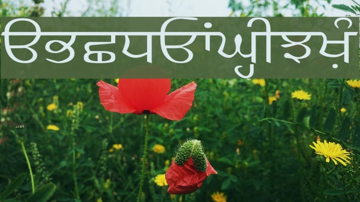 SamtolKalmi Font examples