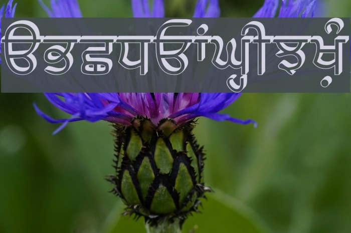SamtolRaised Font examples