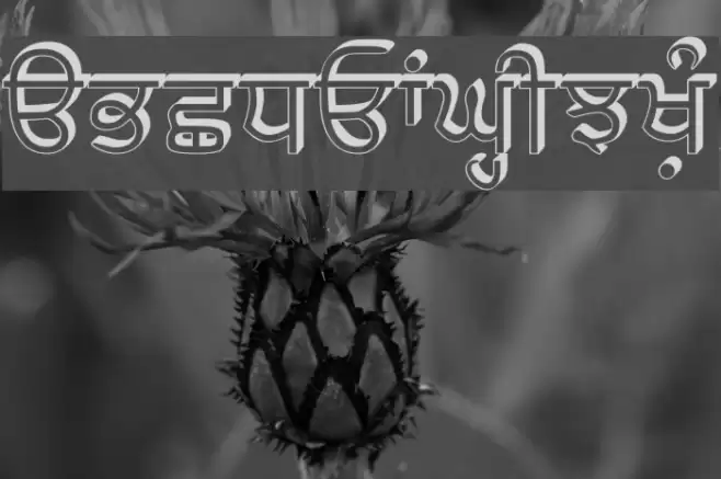 SamtolRaised フォント examples