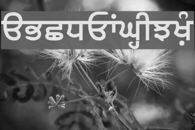 SamtolThick Font examples