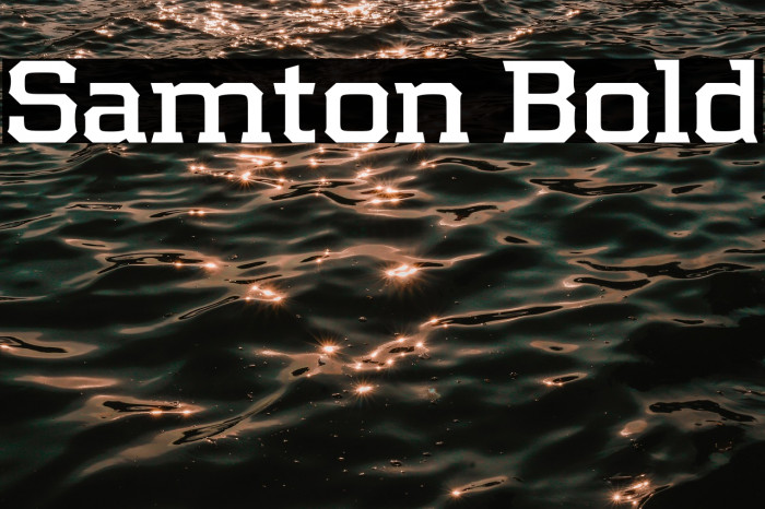 Samton Bold Example 1