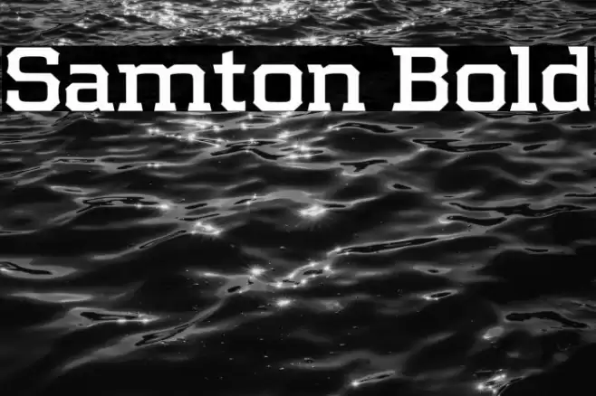 Samton Bold Font examples