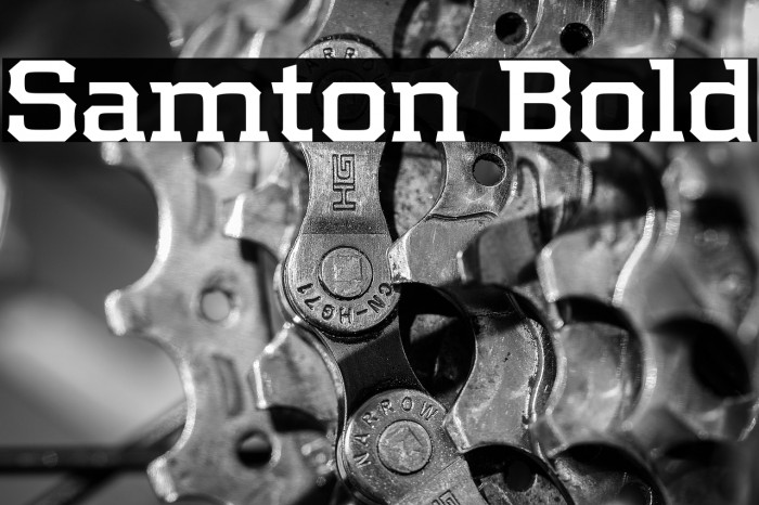 Samton Bold Example 3