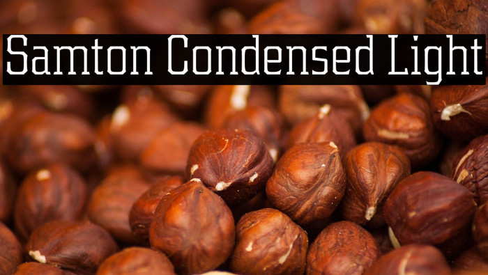 Samton Condensed Light Example 2