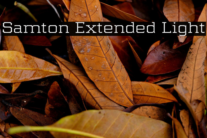 Samton Extended Light Example 2