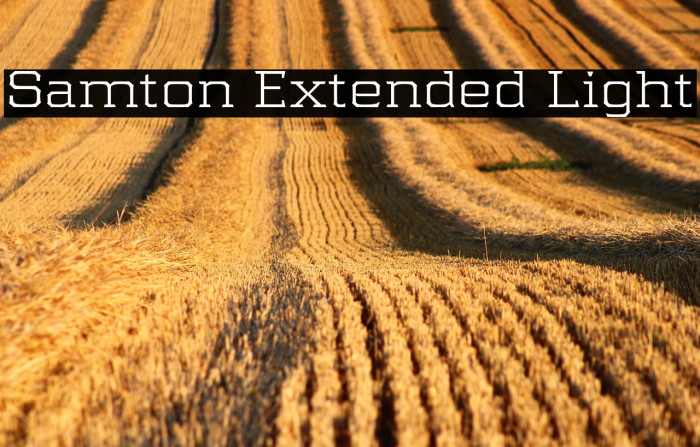 Samton Extended Light Example 3