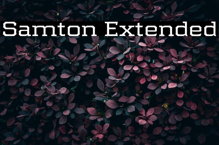 Samton Extended Example 1