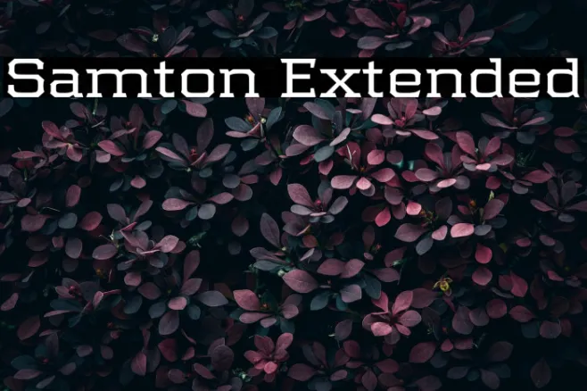 Samton Extended Example 1