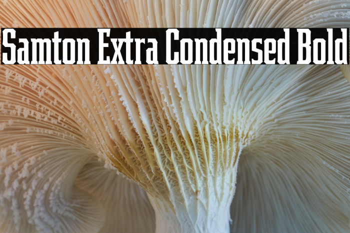 Samton Extra Condensed Bold Example 3
