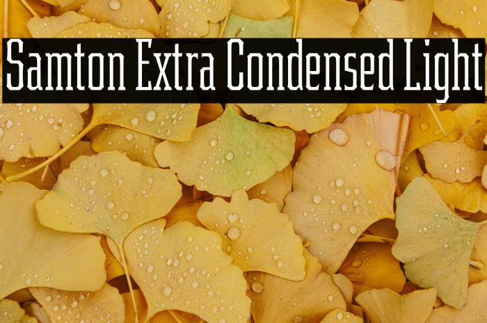 Samton Extra Condensed Light Example 1
