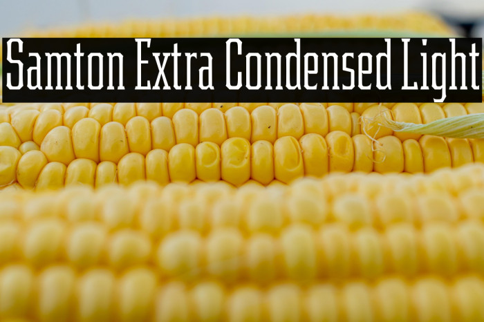 Samton Extra Condensed Light Example 3