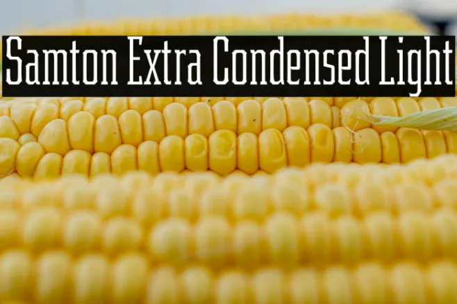 Samton Extra Condensed Light Example 3