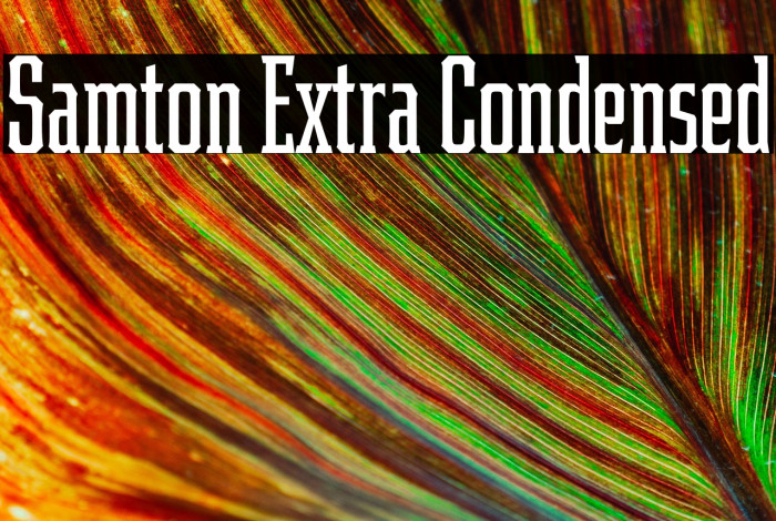 Samton Extra Condensed Example 2