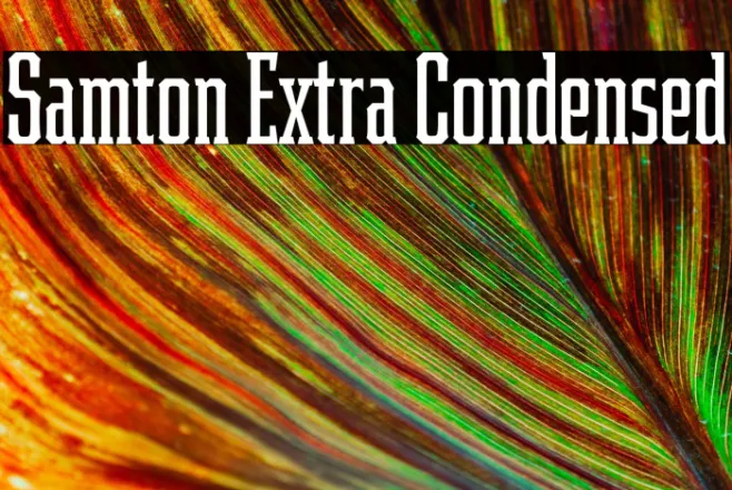 Samton Extra Condensed Example 2