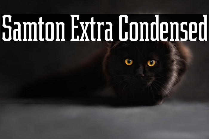 Samton Extra Condensed Example 3