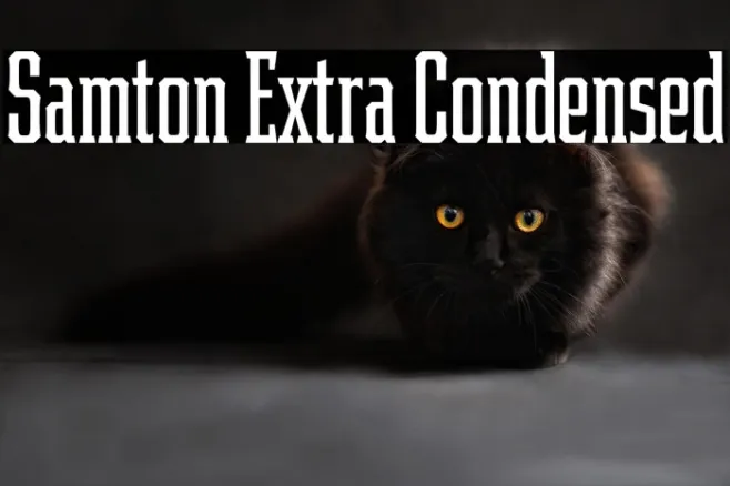 Samton Extra Condensed Example 3