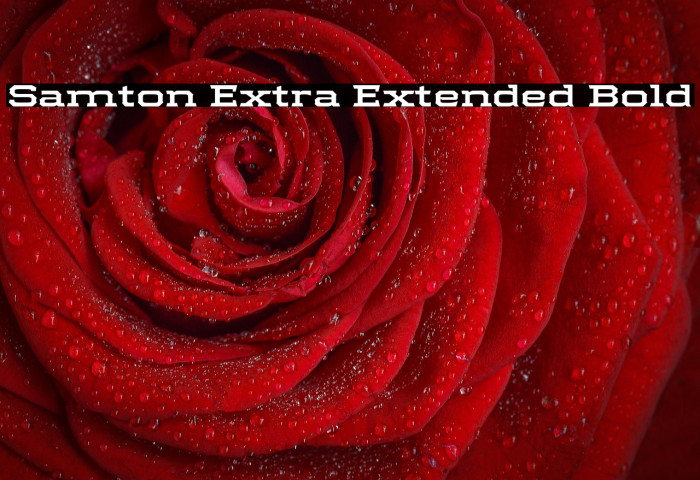 Samton Extra Extended Bold Example 1