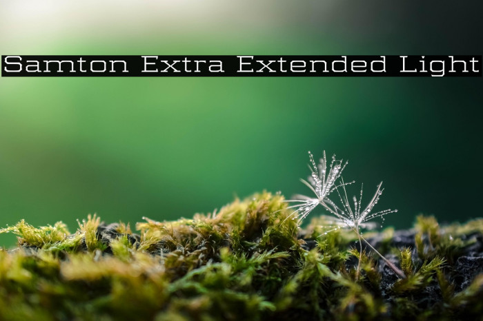 Samton Extra Extended Light Example 2