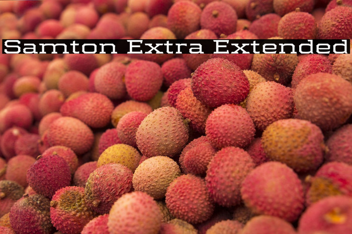 Samton Extra Extended Example 1