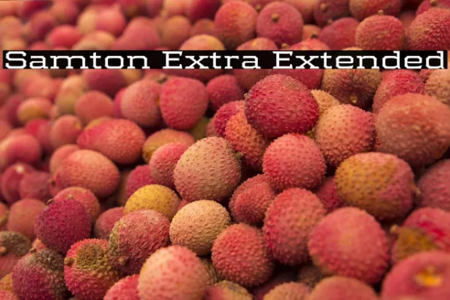 Samton Extra Extended Example 1