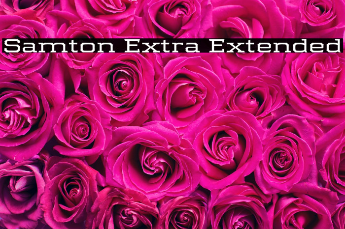Samton Extra Extended Example 2