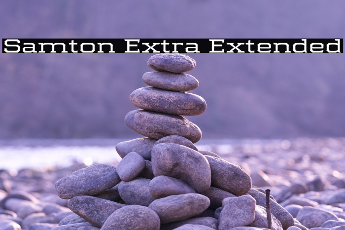 Samton Extra Extended Example 3