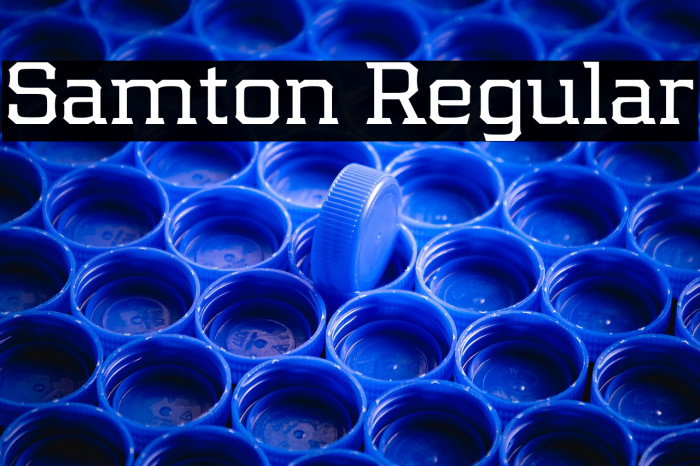 Samton Regular Example 1