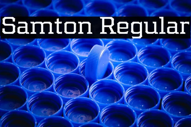 Samton Regular Example 1