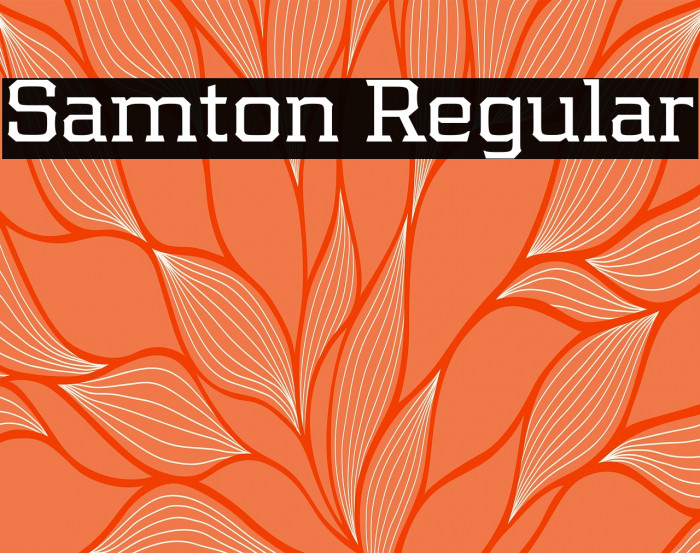 Samton Regular Example 2