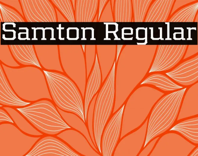Samton Regular Example 2