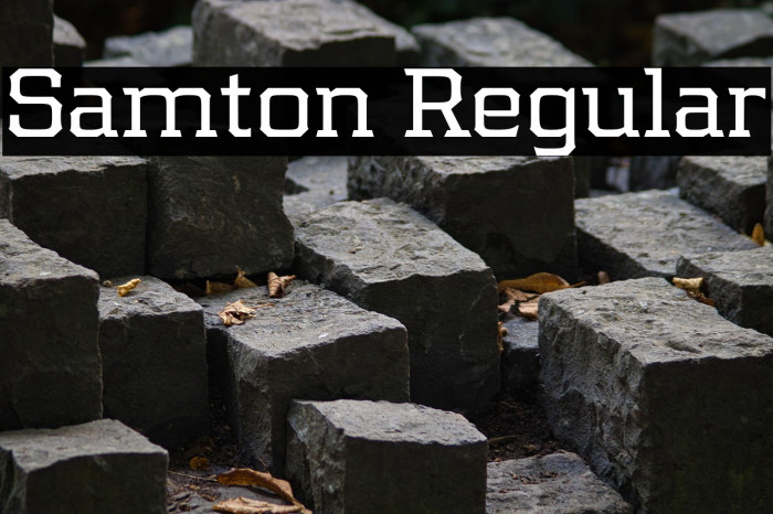 Samton Regular Example 3