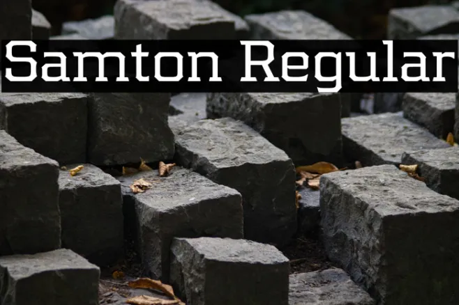Samton Regular Example 3