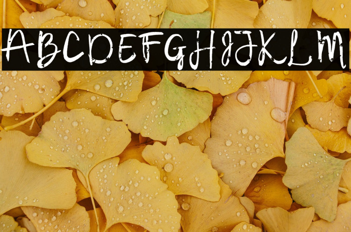 Samudera Font Regular Example 1