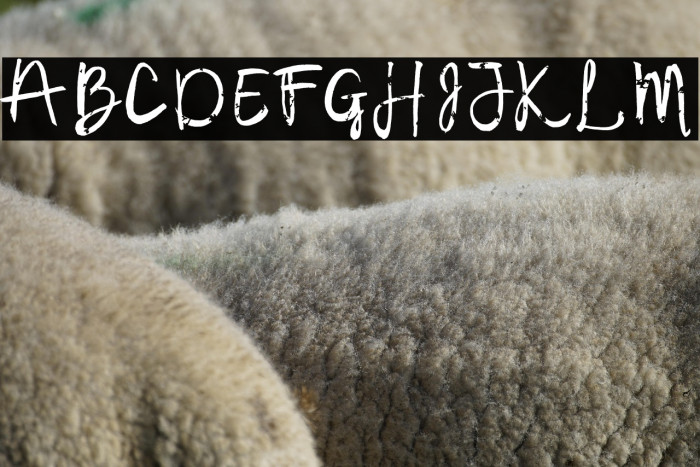 SamuderaFont-Regular Example 3