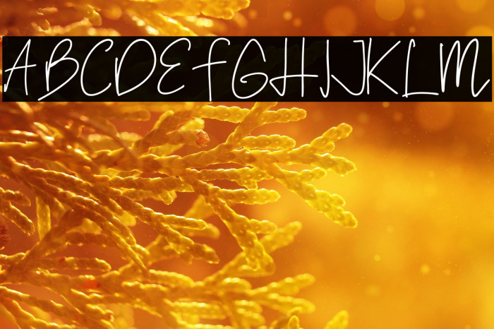 Samuel Hernandez Example 1