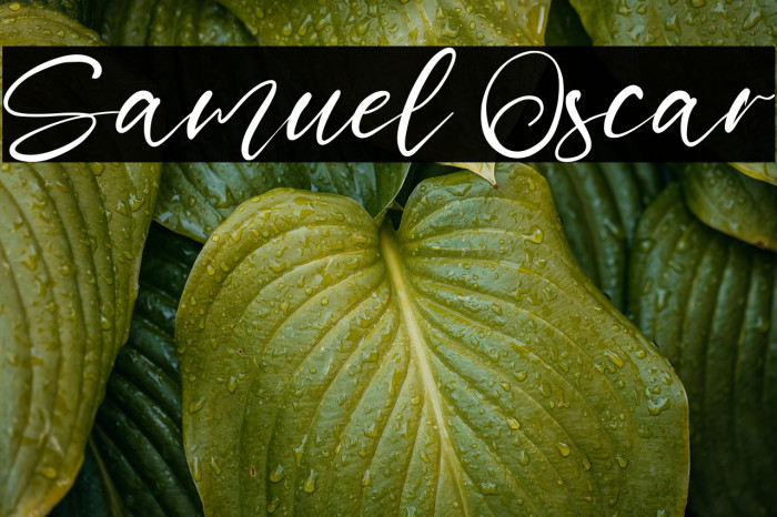 Samuel Oscar Example 1