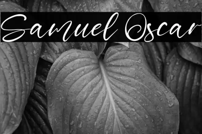 Samuel Oscar Font examples