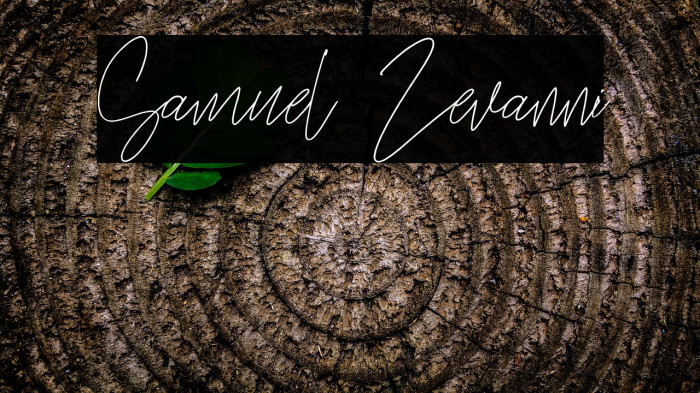 Samuel Zevanni Example 1