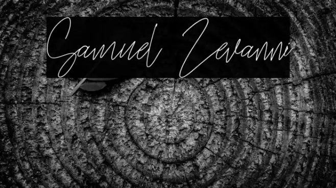 Samuel Zevanni Font examples