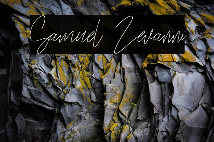 Samuel Zevanni Example 2