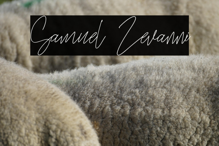 Samuel Zevanni Example 3