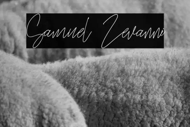 Samuel Zevanni Font examples
