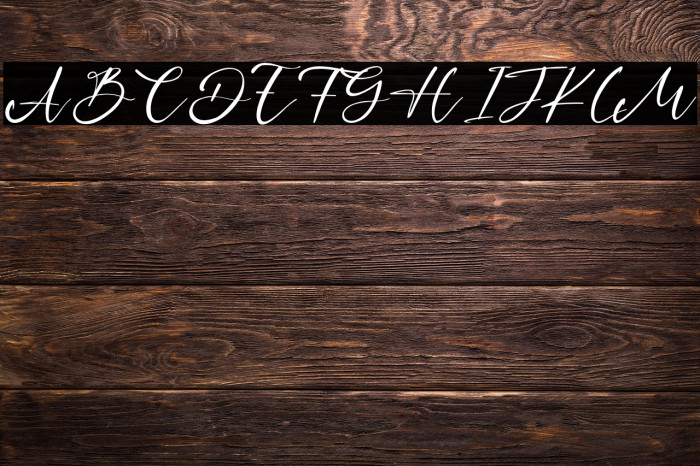 SamuelOscar Example 1