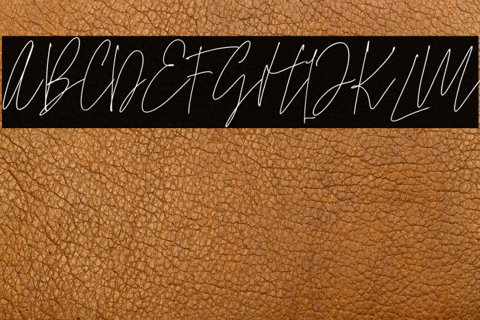 SamuelZevanni Example 1